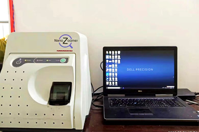 内蒙古全景数字白光扫描