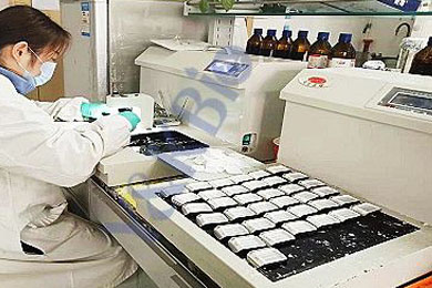 内蒙古石蜡包埋服务