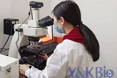 内蒙古明场拍照