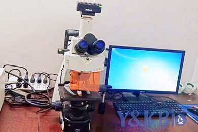 内蒙古暗场拍照