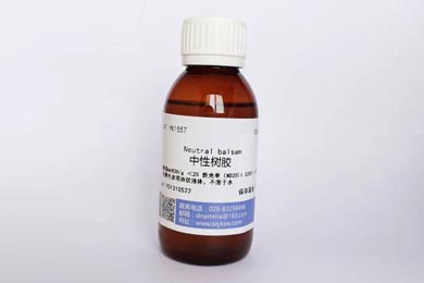 内蒙古中性树胶