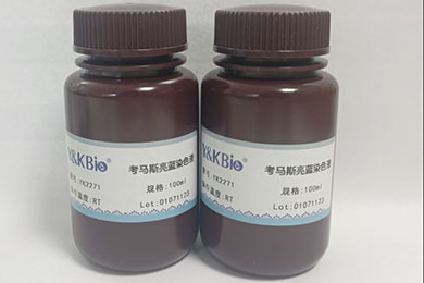 内蒙古考马斯亮蓝染色试剂盒