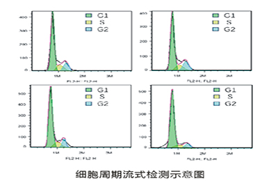 内蒙古流式细胞周期