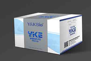 内蒙古RIPA裂解液（强）