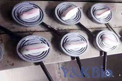 内蒙古冰冻包埋