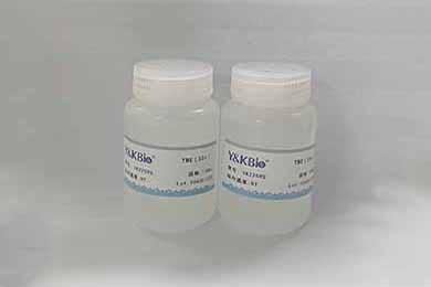 内蒙古TBE（10×）