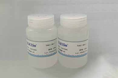 内蒙古TAE（50×）