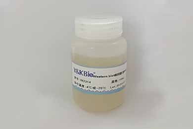 内蒙古Western blot封闭液(含BSA)