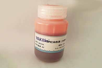 内蒙古伊红染液（水溶性）