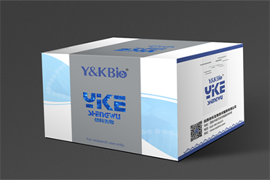 内蒙古Masson-Fontana黑色素染色试剂盒