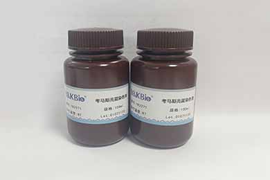 内蒙古考马斯亮蓝染色液