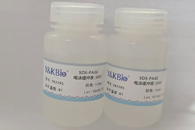 内蒙古10×SDS-PAGE电泳缓冲液