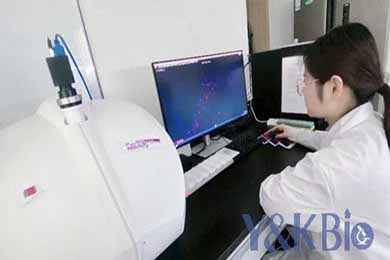 内蒙古荧光扫描